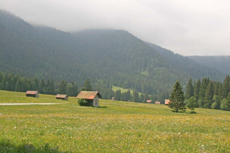 Neuschwanstein juni 2011 - 132